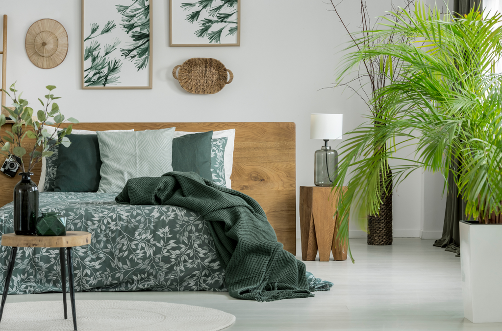 Adding Indoor Plants to your Bedroom may Improve your Health