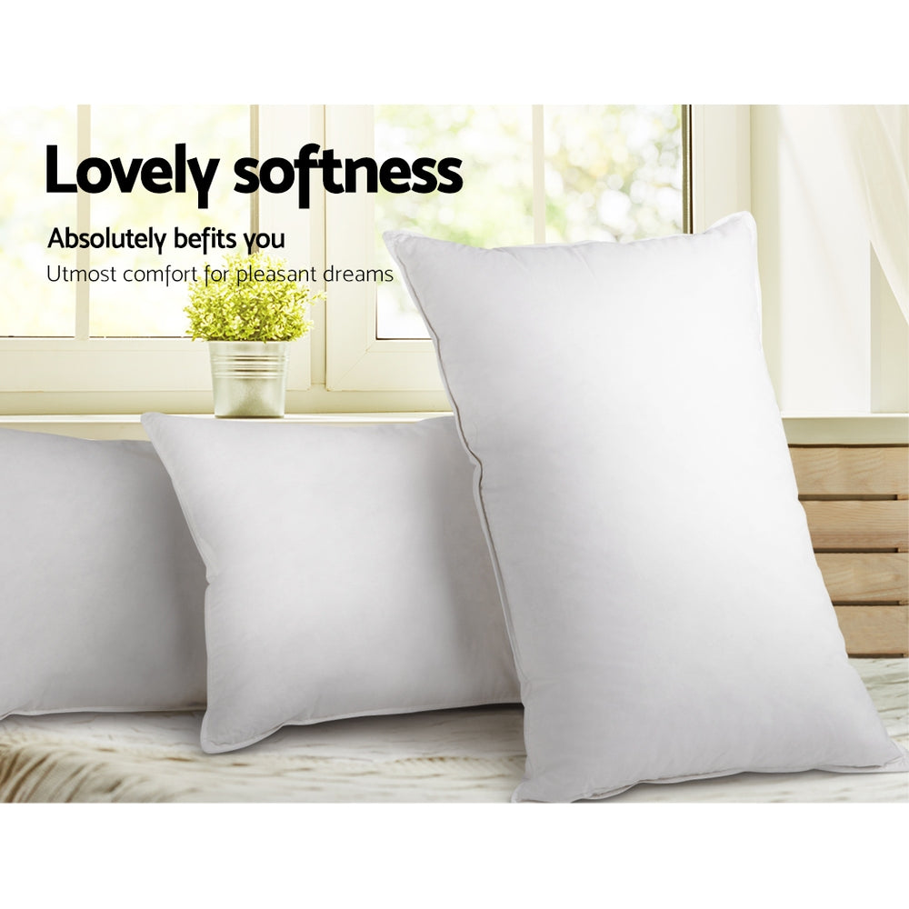 Bedding Set of 2 Goose Feather and Down Pillow White Comfort in Malaga Perth Western Australia
